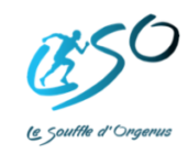 LSO LOGO